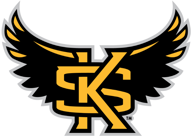 Kennesaw State Owls 2012-Pres Alternate Logo iron on transfers for T-shirts